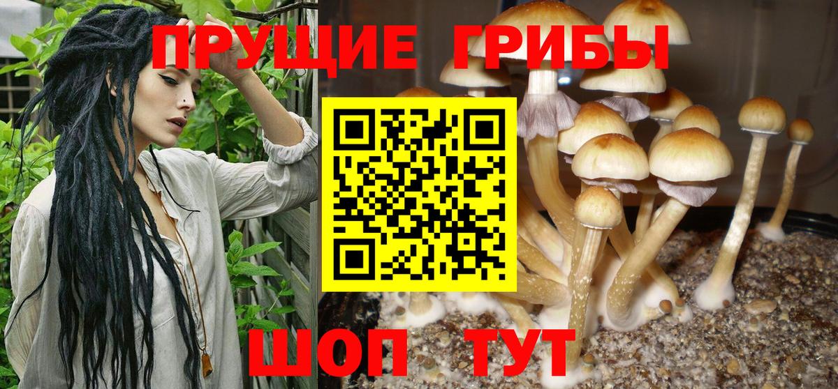 Псилоцибиновые грибы GOLDEN TEACHER  Вход с VPN  Сорочинск 
