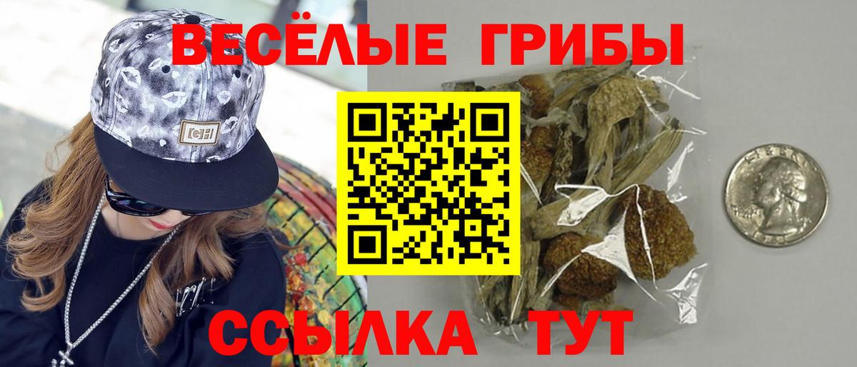 Галлюциногенные грибы Psilocybe Сорочинск